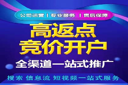 SEM代运营机构案例分析：优化策略详解